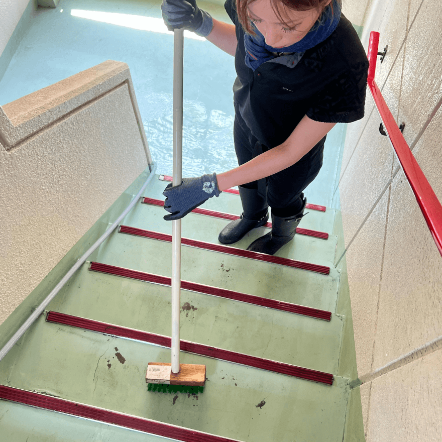 定期清掃 定期清掃